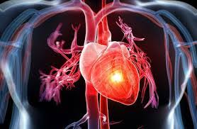 Cardiovascular Disease, Sedation
